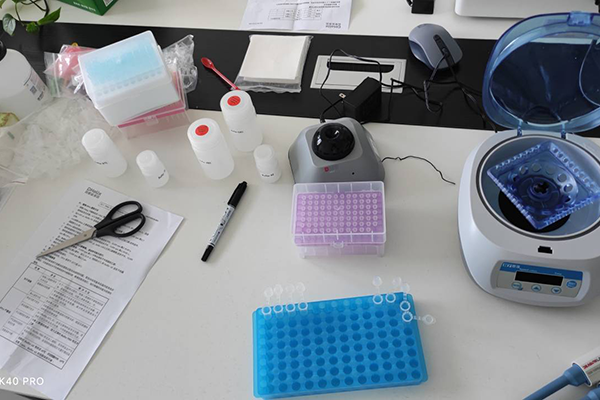 松材線蟲檢測儀培訓現(xiàn)場