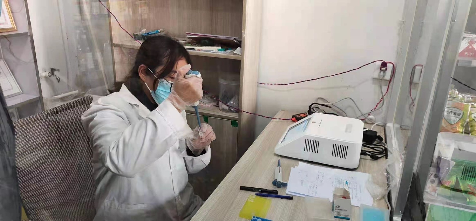 非洲豬瘟 PCR 檢測(cè)儀檢測(cè)工作畫面